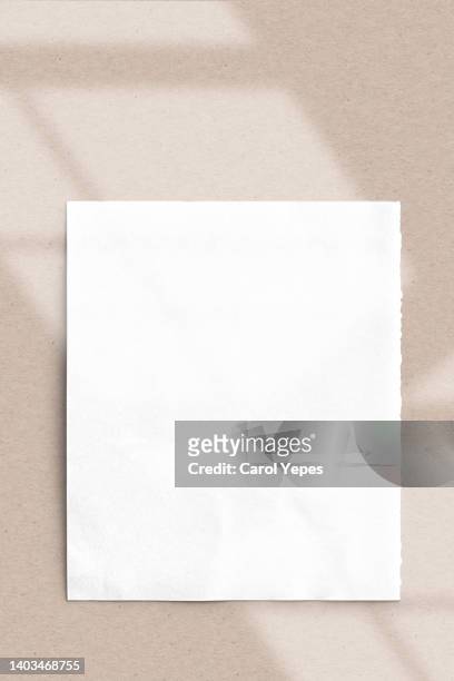 blank paper and pencil in brown background with window shadow - notepad white table foto e immagini stock