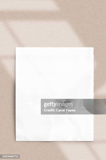 blank paper and pencil in brown background with window shadow - plat stockfoto's en -beelden