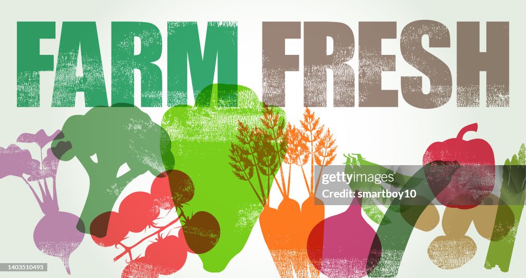 Fresh Vegetables Poster