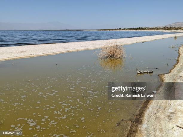 salton sea - salton sea stock pictures, royalty-free photos & images