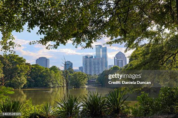 nature framing the city. - atlanta photos et images de collection