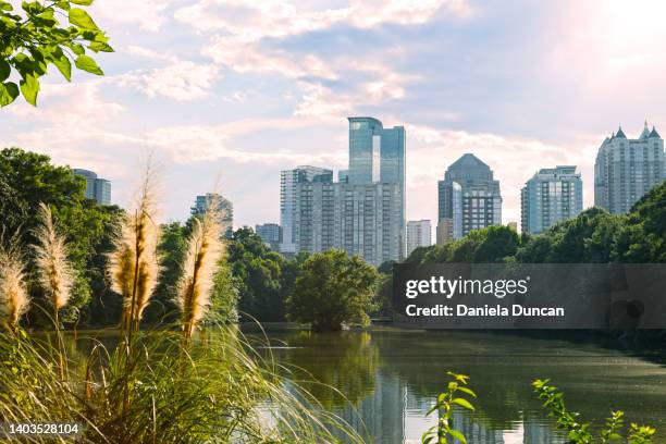 nature and the city - piedmont park atlanta georgia stock pictures, royalty-free photos & images