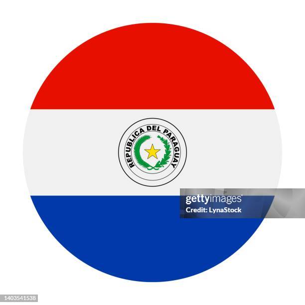 national flag of paraguay - paraguay stock illustrations