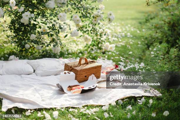 picnic basket on grass with food and drink on blanket. - picnic foto e immagini stock