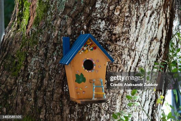 a wooden house made of old boards for a squirrel or bird on a tree trunk in a forest or park. animal care, environmental protection. birdhouse for nest formation. environmental protection. - birdhouse stock pictures, royalty-free photos & images