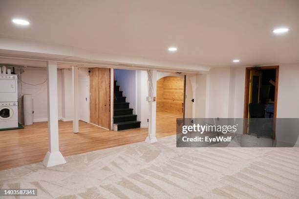 renovated and completely finished basement with vinyl flooring, plush carpeting and a bedroom and bathroom - sótano fotografías e imágenes de stock