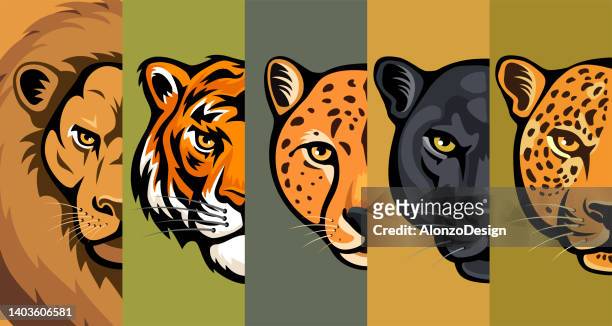 vector big cats head. mascot creative design. - lion tattoo stock illustrations
