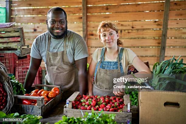 cheerful farm workers organizing fresh fruit and vegetables - farm produce market stock pictures, royalty-free photos & images