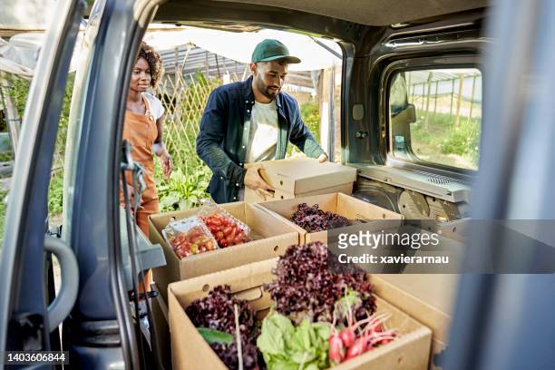 organic farmers loading van with boxes of produce - delivery van stock pictures, royalty-free photos & images