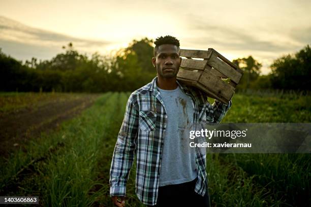 portrait of young black farm worker at dusk - south american culture stock pictures, royalty-free photos & images