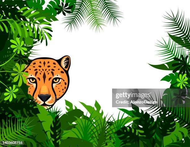 cheetah in the bushes. mascot creative logo design. - cheetah print stock illustrations