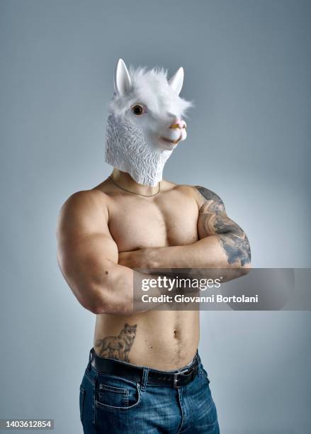 man with a lamb's head - bodybuilder posing stock pictures, royalty-free photos & images