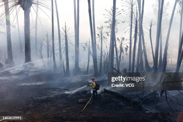 Firefighter battles a brush fire that broke out Friday afternoon on June 17, 2022 in Jurupa Valley, California.