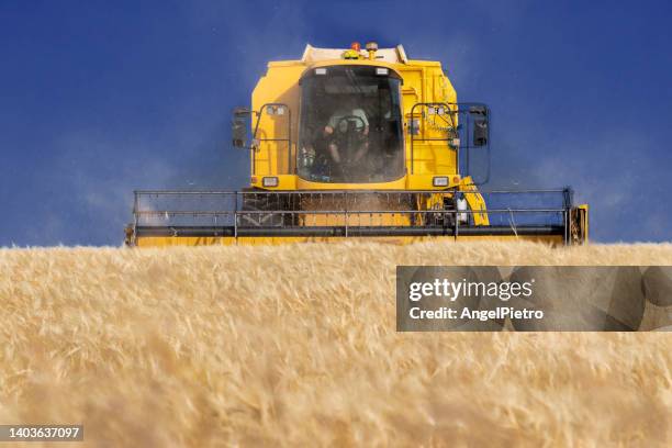 a combine harvester working in the afternoon - monoculture stock pictures, royalty-free photos & images