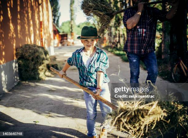 papa und sohn füttern kühe auf bauernhöfen - heu stock-fotos und bilder