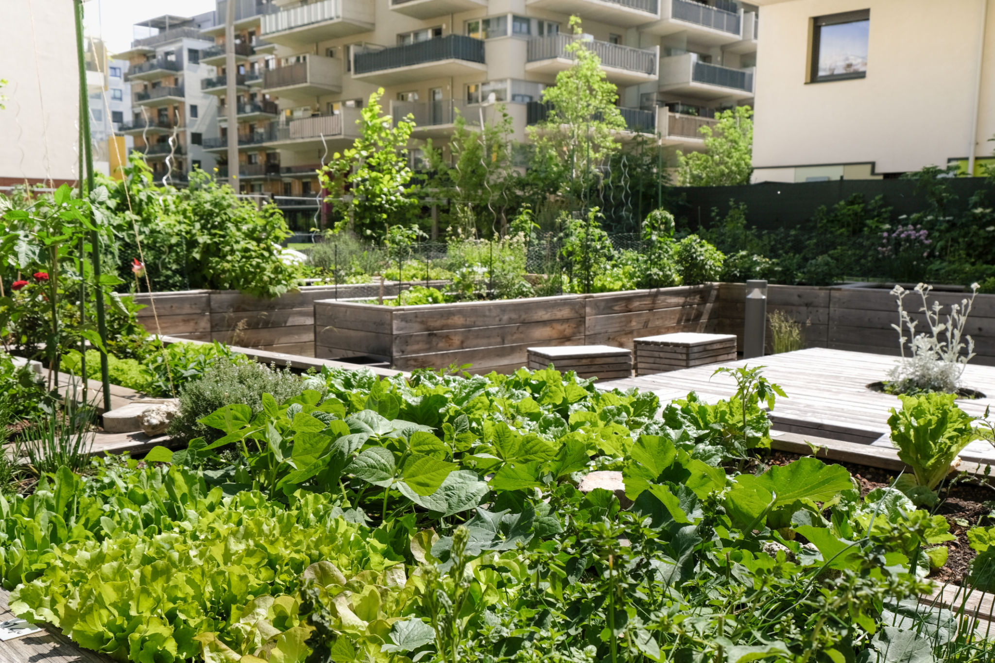 urban gardener