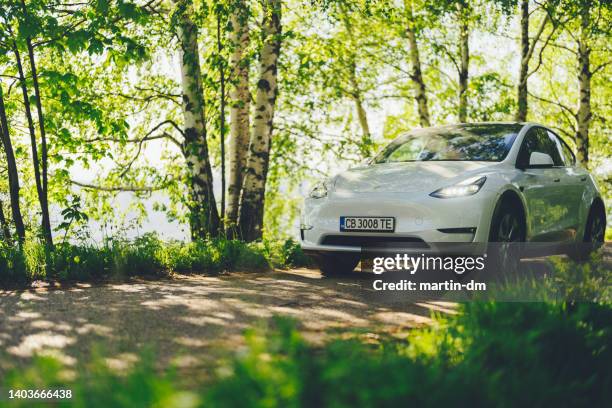 tesla model y 2022 long range - alternative fuel vehicle 個照片及圖片檔