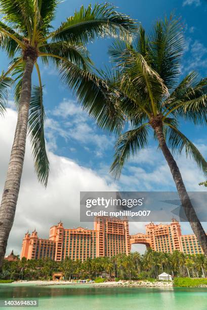 atlantis resort bahamas paradise island - hotels nassau stock pictures, royalty-free photos & images