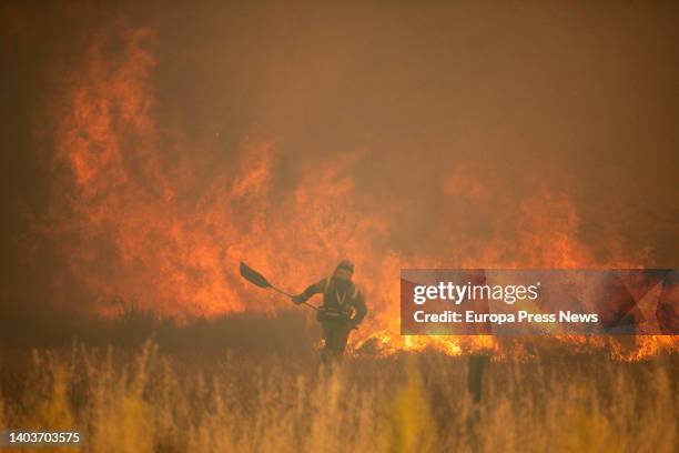 Firefighters during the Sierra de la Culebra fire on June 18 in Zamora, Castilla y Leon, Spain. This fire, which remains at level 2 risk, has already...