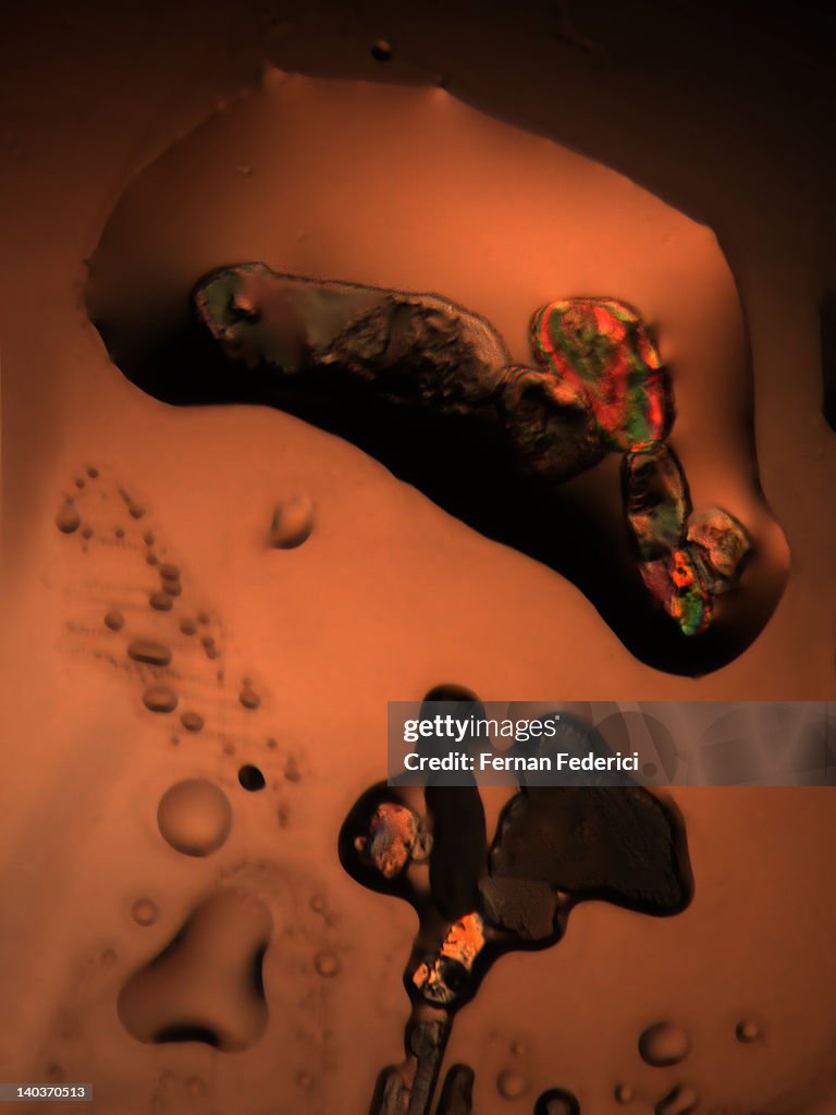 Chocolate piece
