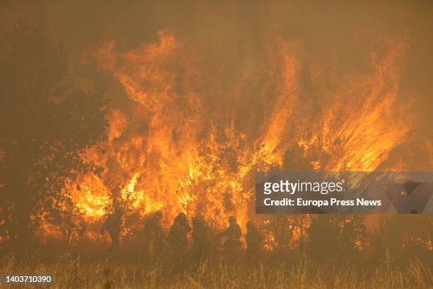 Firefighters during the Sierra de la Culebra fire on June 18 in Zamora, Castilla y Leon, Spain. This fire, which remains at level 2 risk, has already...