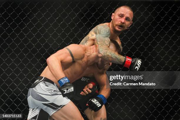 Eddie Wineland and Cody Stamann exchange strikes during their bantamweight fight at the UFC Fight Night event at Moody Center on June 18, 2022 in...