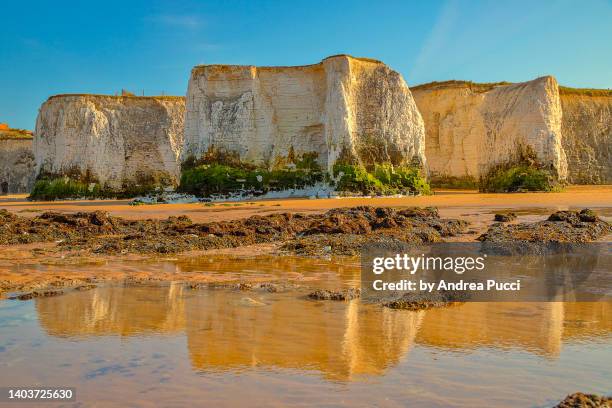 botany bay, kent, united kingdom - botany bay stock pictures, royalty-free photos & images