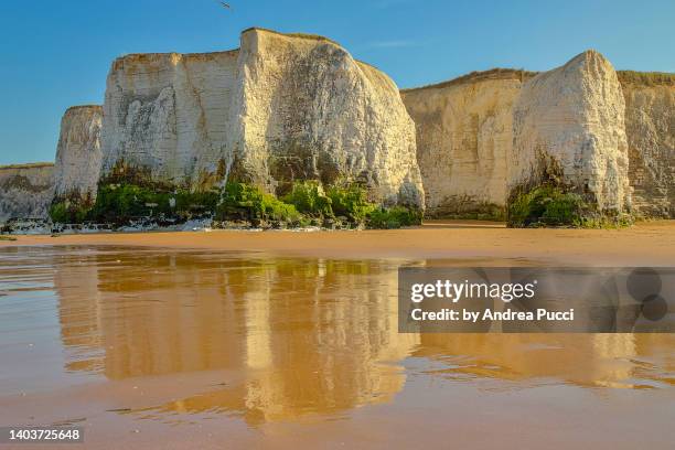 botany bay, kent, united kingdom - botany bay stock pictures, royalty-free photos & images