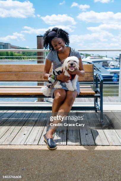 woman sits on bench with her dog - potomac maryland foto e immagini stock