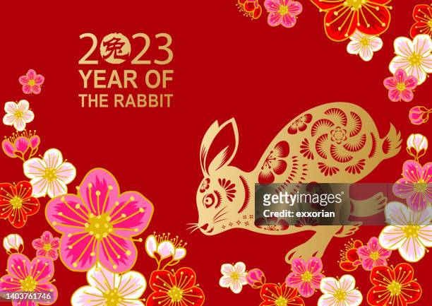 illustrazioni stock, clip art, cartoni animati e icone di tendenza di fiore di prugna dell'anno del coniglio - chinese new year