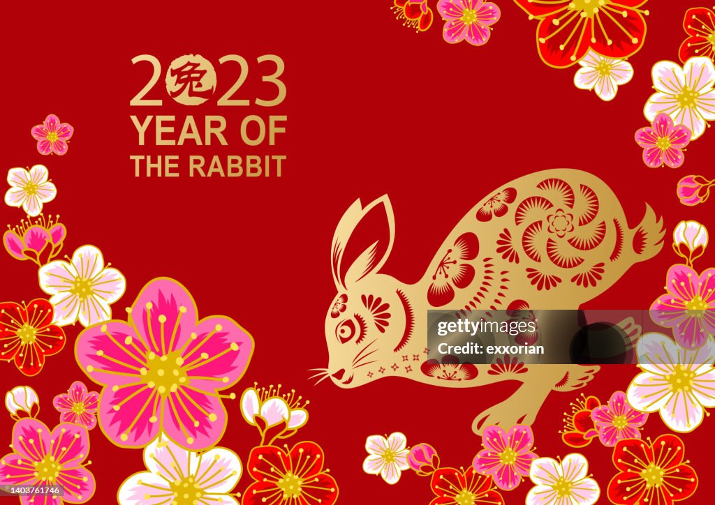 Plum Blossom Of Rabbit Year High-Res Vector Graphic - Getty Images