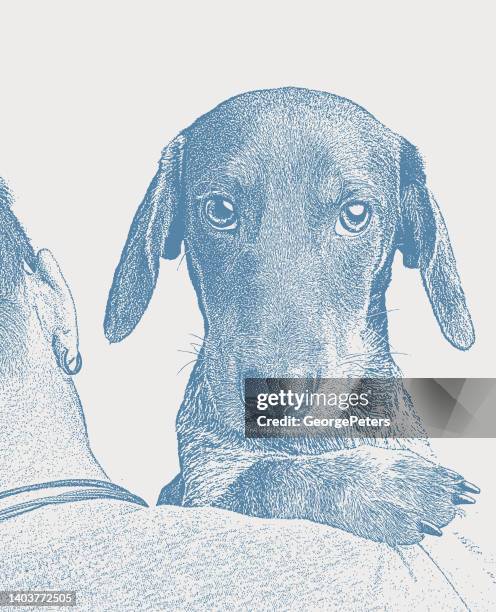 hugging dachshund dog - purebred stock illustrations