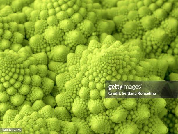 romanesco broccoli, close-up - chou romanesco stock pictures, royalty-free photos & images