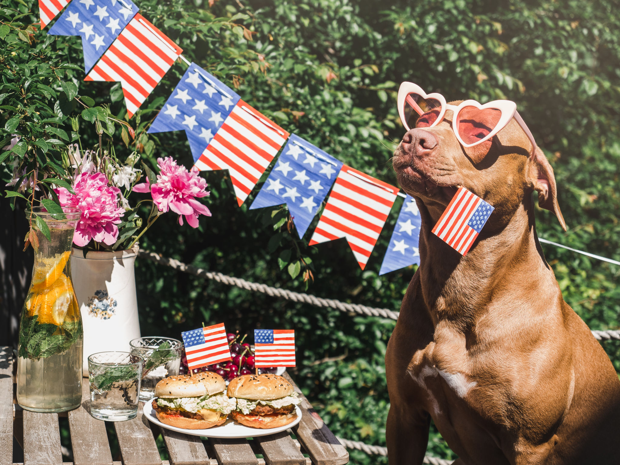 patriotic furniture