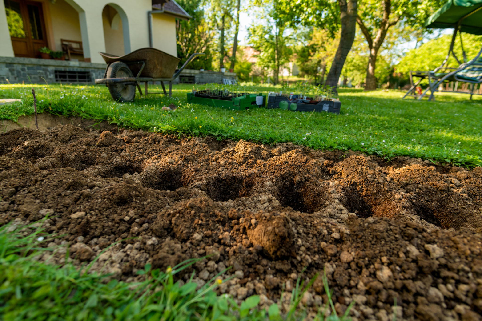 summer garden preparation