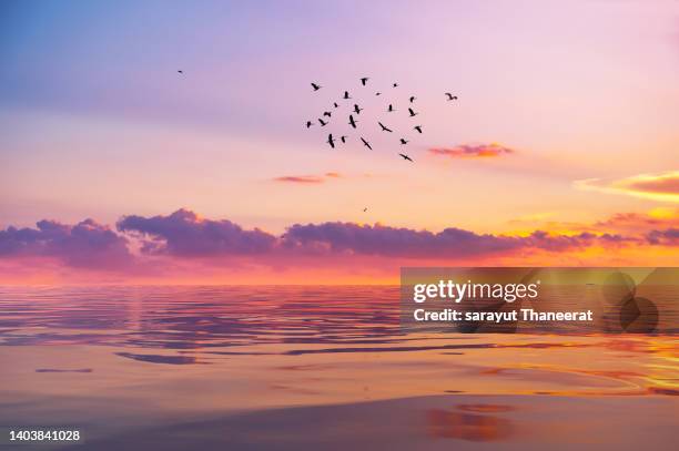 the sun was setting in the evening at sea. island krabi, thailand, asia - goud strand stockfoto's en -beelden