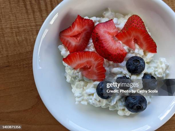 cottage cheese - hüttenkäse stock-fotos und bilder