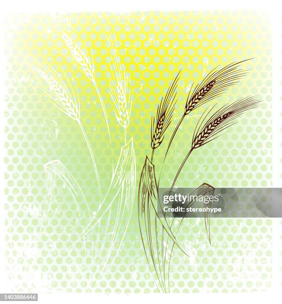 our daily bread - sustainable economy stock illustrations