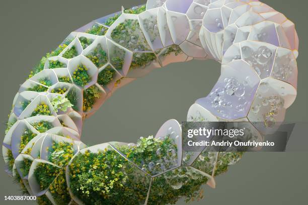 organic ecosystem - biomassa hernieuwbare energie stockfoto's en -beelden