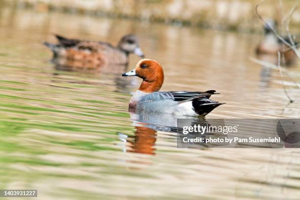 Chaned Angote Canted Angle Photos and Premium High Res Pictures - Getty Images