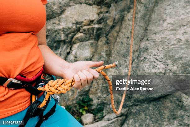 close up of a rock climber tied into a climbing rope with a figure-eight knot - noeud coulant en huit photos et images de collection
