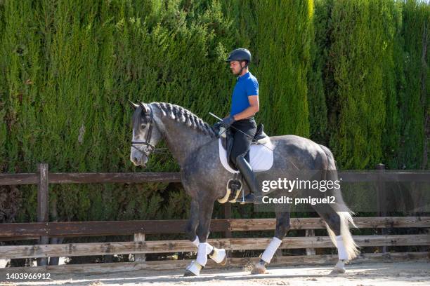 young man riding a thoroughbred horse. - dressage stock pictures, royalty-free photos & images