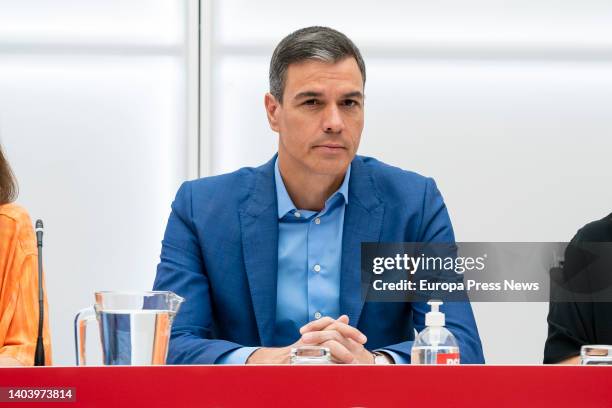 The secretary general of the PSOE and president of the Government, Pedro Sanchez, presides over the meeting of the Federal Executive of the PSOE, at...