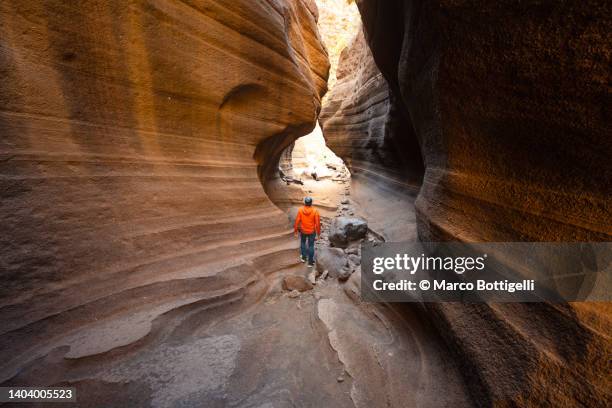 one person exploring a canyon - canyon stock pictures, royalty-free photos & images