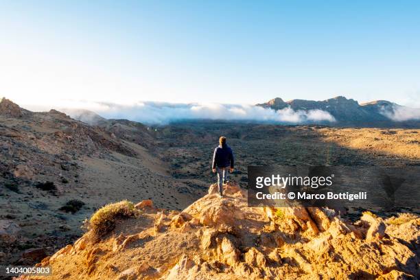 man hiking in teide caldera, tenerife, spain - el teide national park stock pictures, royalty-free photos & images