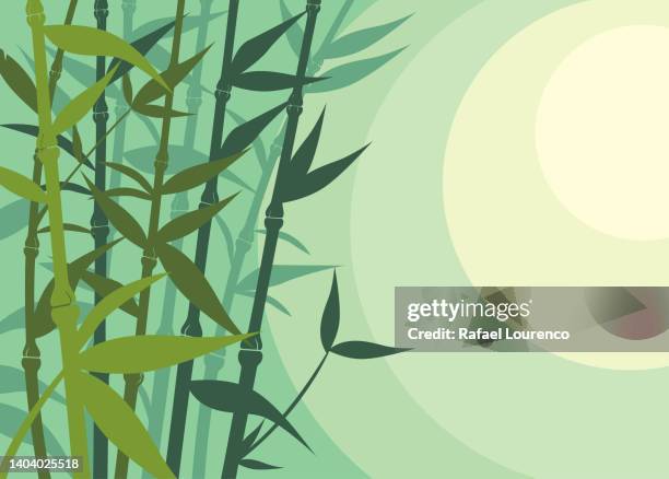 illustrations, cliparts, dessins animés et icônes de belle nature bambou horizontal backgroung affiche - jardin soleil