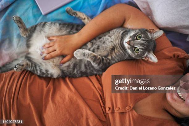 faceless content woman lying with cat - cat purring stock pictures, royalty-free photos & images