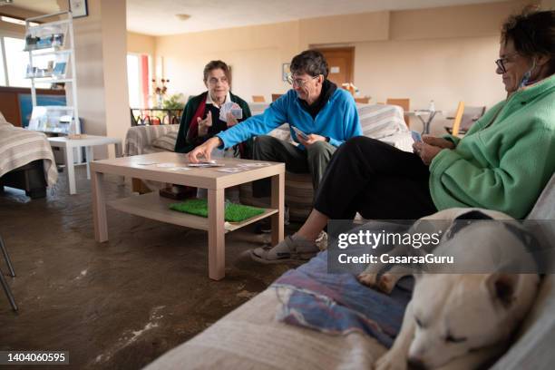 group of friends with a dog on vacation taking a coffee break playing poker cards games indoors - dogs playing poker stock pictures, royalty-free photos & images