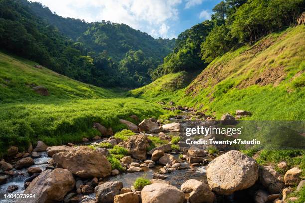 rainforest mountain - nakhon nayok city stock pictures, royalty-free photos & images