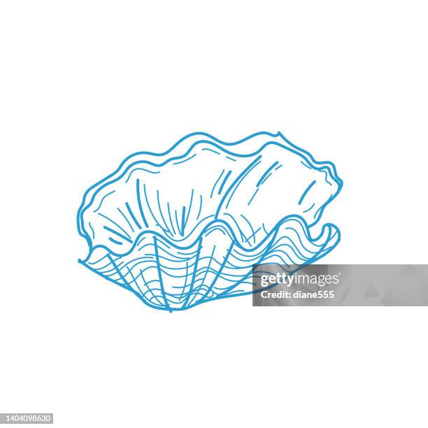Clam Shell Line 318 Seashell Outline Stock Photos, High-Res Pictures, and Images ...